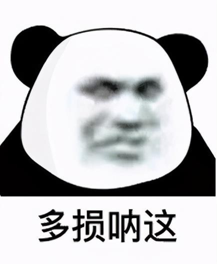 坏心猫咪图鉴笋都被这些猫夺完了